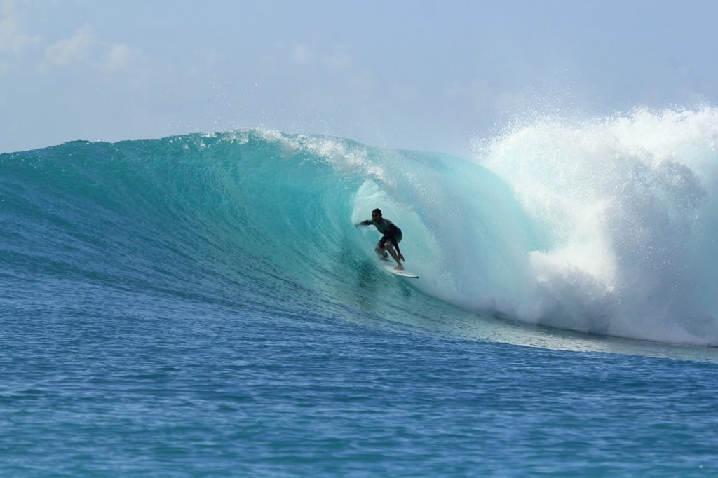 surfing, waves, paradise-2686393.jpg