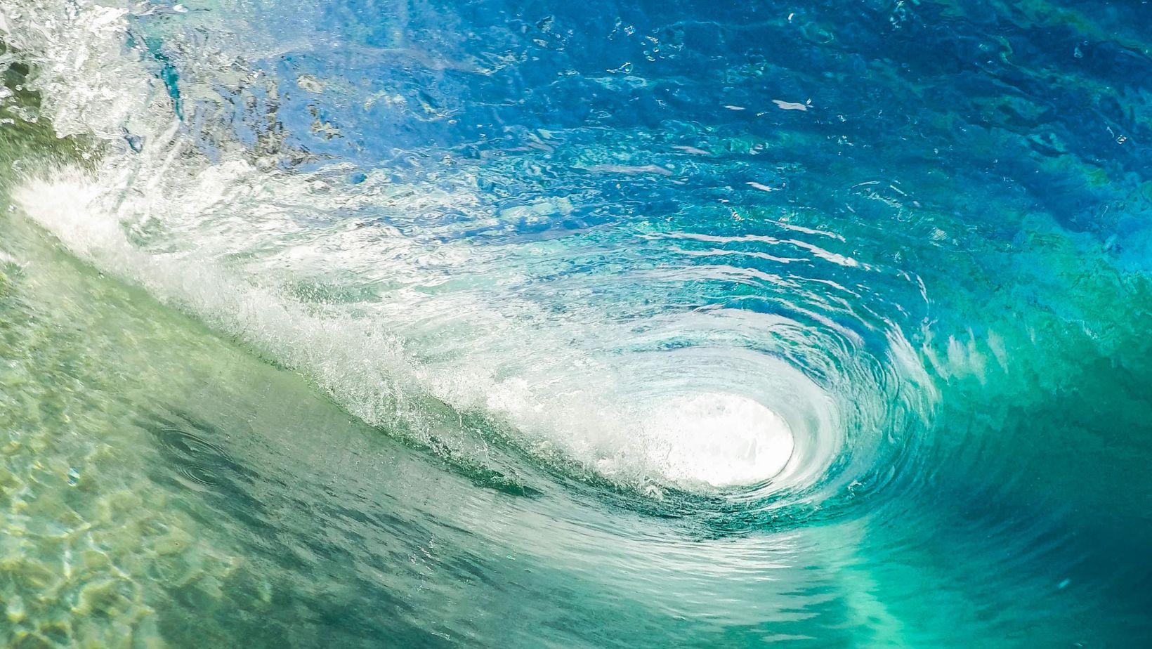 The Science of Surfing: Understanding Wave Formation and Ocean Dynamics
