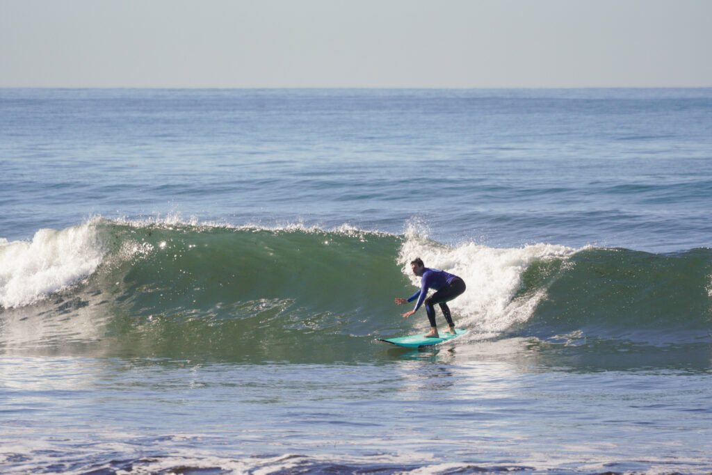 Regular Surfer